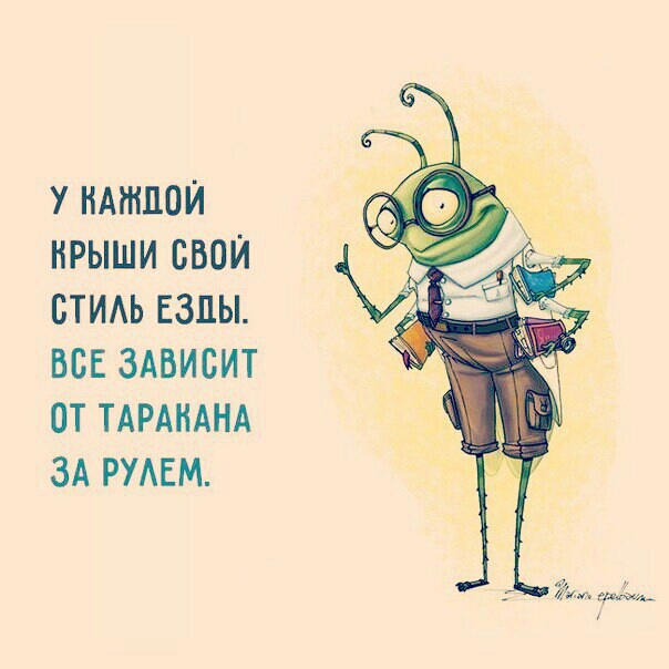 У НАНШОЙ НРЫШИ СВОЙ БТИАЬ ЕЗПЫ ВСЕ ЗАВИСИТ ОТ ТАРАИАНА ЗА РУАЕМ