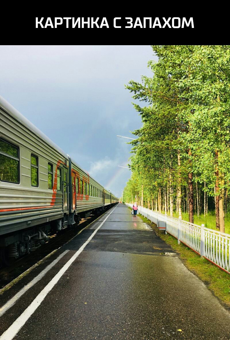 КАРТИНКА С ЗАПАХОМ