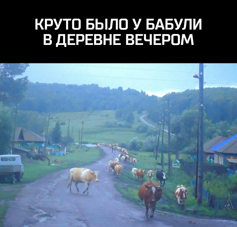 КРУТО БЫЛО У БАБУЛИ В ДЕРЕВНЕ ВЕЧЕРОМ