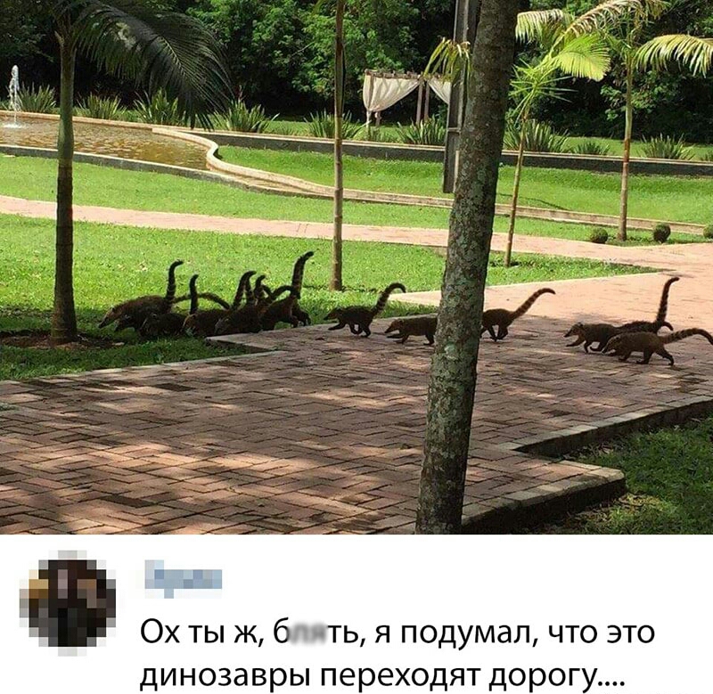 ОХ ТЫ Ж б ТЬ Я подумал ЧТО ЭТО ДИНОЗдВРЫ переходят ДОРОГ