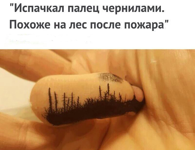 Испачкал палец чернилами Похоже на лес после пожара