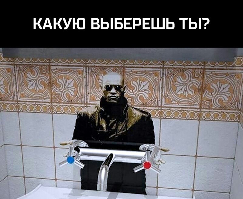 КАКУЮ ВЫБЕРЕШЬ ТЫ