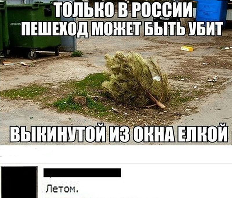 вьни и они ШШШ Летом