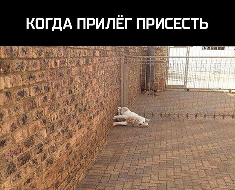 КОГДА ПРИЛЁГ ПРИСЕСТЬ