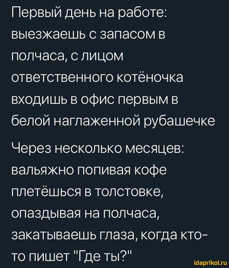 Первый день на работе выезжаешь с запасом в полчаса с лицом ответственного котёночка входишь в офис первым в белой наглаженной рубашечке Через несколько месяцев вальяжно попивая кофе плетёшься в толстовке опаздывал на полчаса закатываешь глаза когда кто то пишет Где ты ійаргіКпЫи