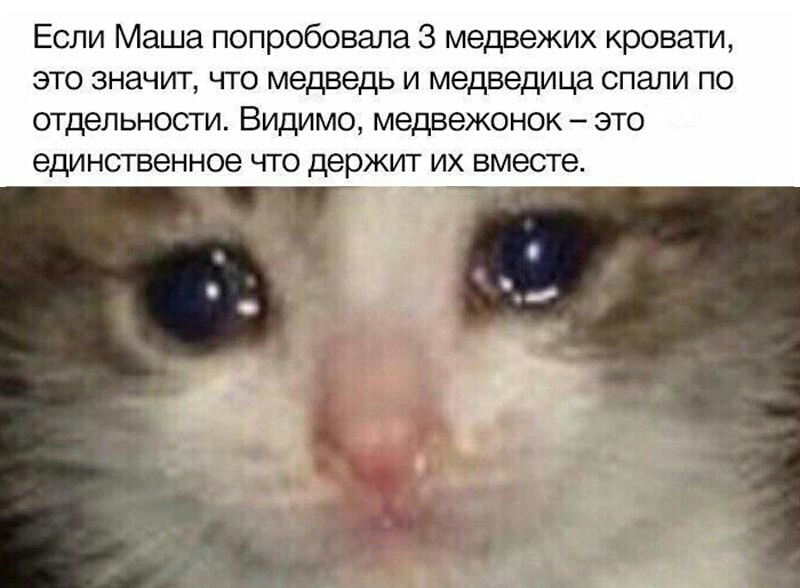 Если Маша попробовала З медвежих кровати это значит что медведь и медведица спали по отдельности Видимо медвежонок это единственное что держит их вместе