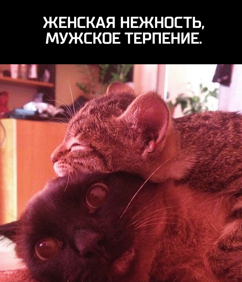 ЖЕНСКАЯ НЕЖНОСТЬ МУЖСКОЕ ТЕРПЕНИЕ ш