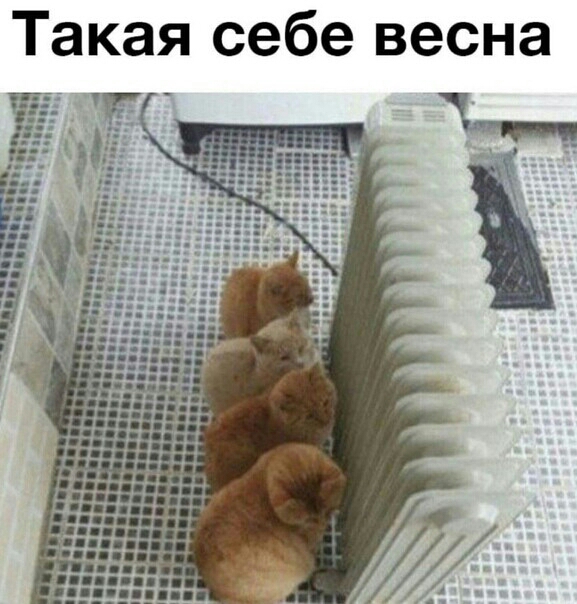 Такая себе весна г т