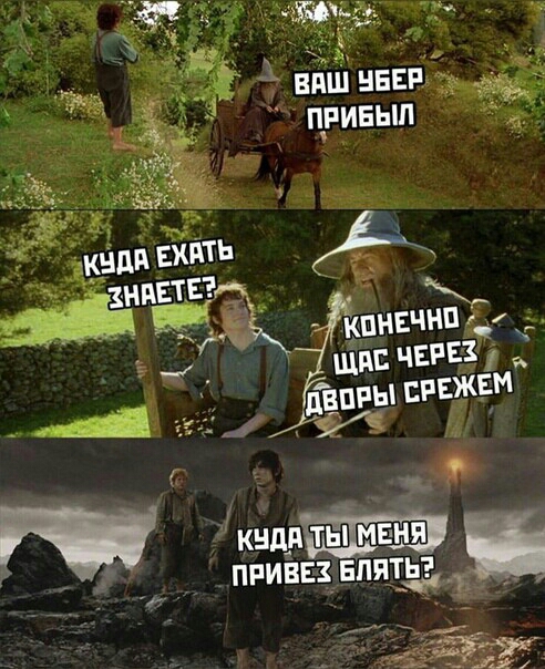 г принципата