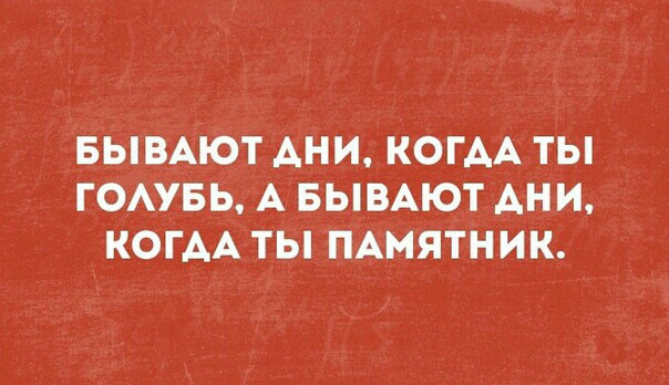 БЫВАЮТ АНИ КОГАА ТЫ ГОАУБЬ А БЫВАЮТ АНИ КОГАА ТЫ ПАМЯТНИК
