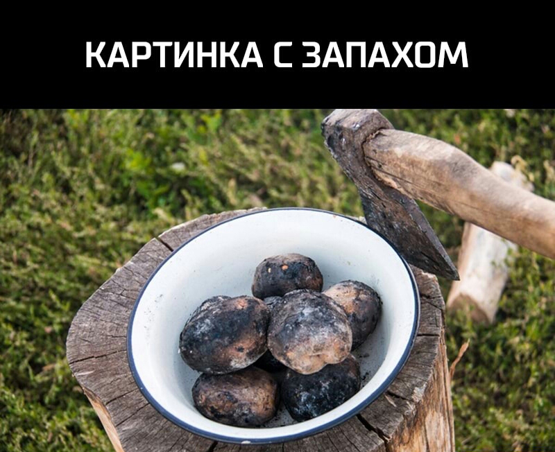 КАРТИНКА С ЗАПАХОМ
