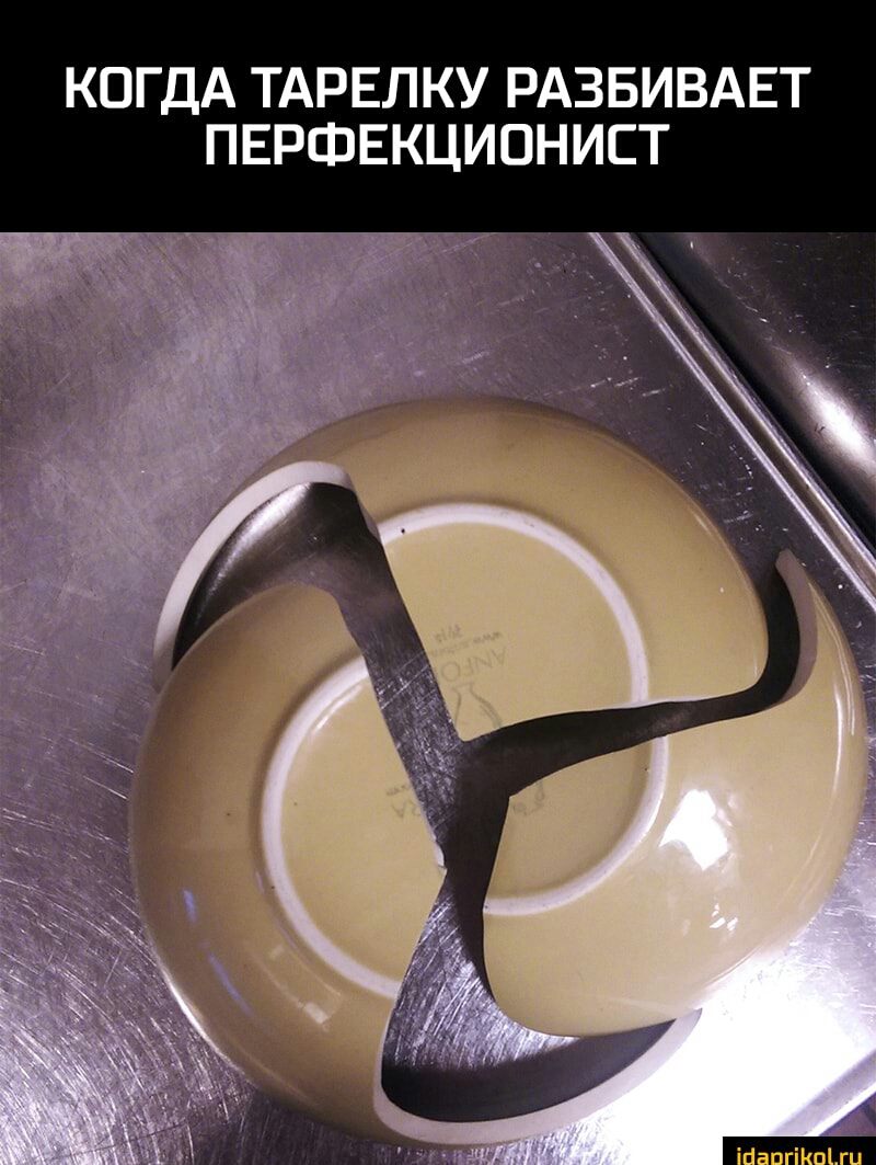 КОГДА ТАРЕЛКУ РАЗБИВАЕТ ПЕРФЕКЦИОНИСТ