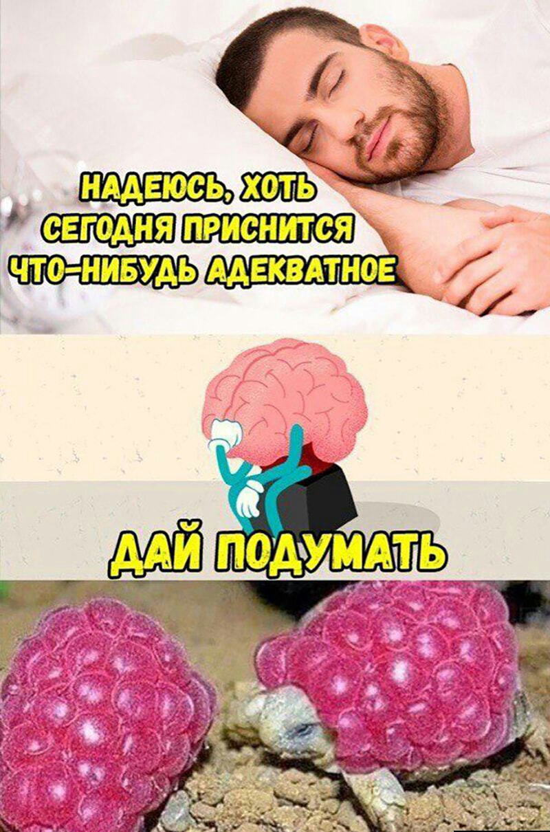 пд _ ЧТО НИБУДЬ ААЕКВАПНОЕ 1