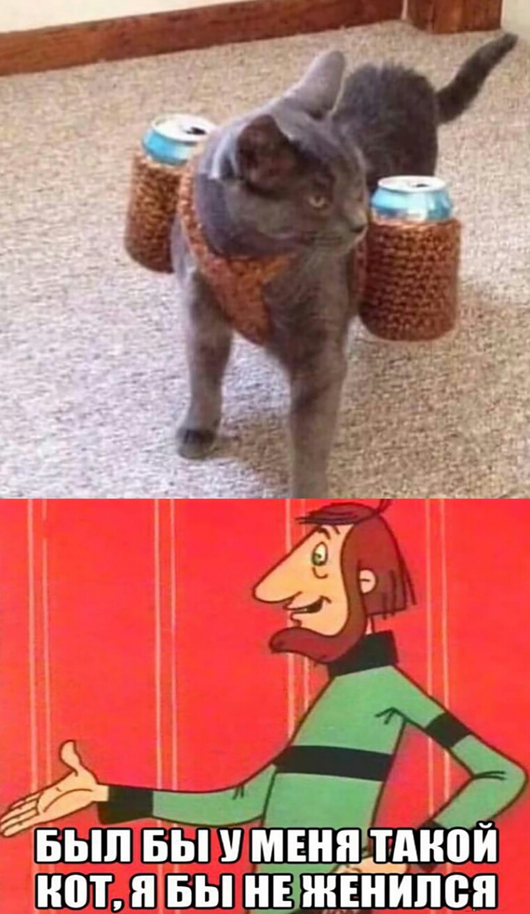 БЫЛ БЫ У МЕНЕТАНОИ ШП Я БЫ НЕ ЖЕНЩИН