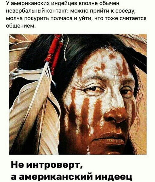У американских индейцев вполне обычен невербальный контакт можно прийти соседу молча покурить полчаса и уйти что тоже считается общением Не интроверт а американский индеец