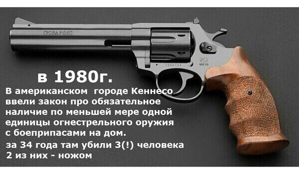 В американском городе Кению ввели закон про обязательное наличие по меньшей мере одной единицы огнестрельного оружия с боеприпасами на дом за 34 года там убили 3 человека 2 из них ножом
