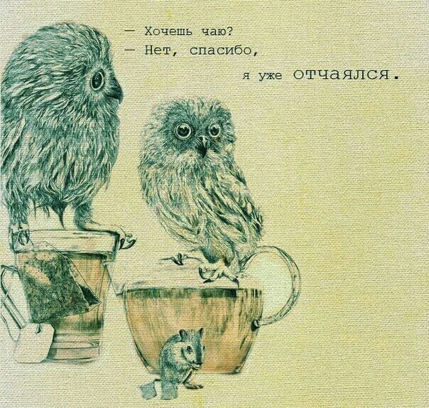 Хочешь ічаю Нет спасибо я уже отчаялся
