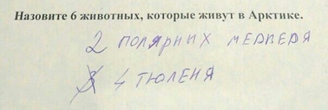 Назовите 6 животных которые живут в Арктике 0 Лтд чт гдэИЯ