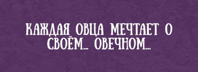 НАЖМИ ОВЦА МЕЧТАЕТ 0 СВОЁМ ОВЕЧН0М