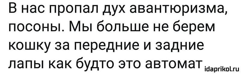В нас пропал дух авантюризма посоны Мы больше не берем кошку за передние и задние лапы как будто это автомат
