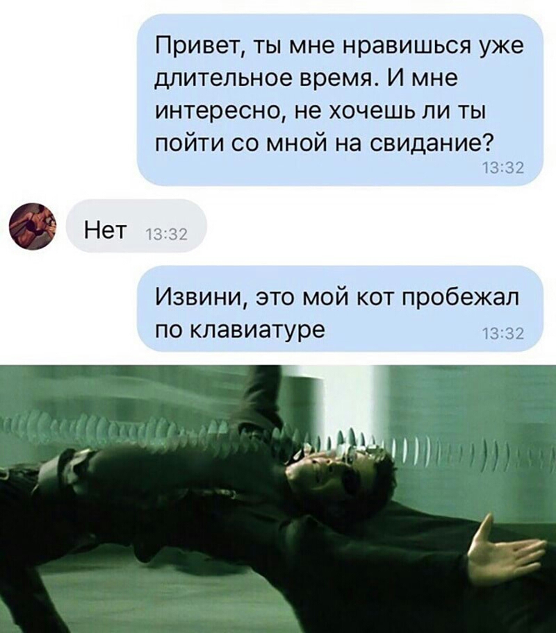 Привет ты мне нравишься уже длительное время И мне интересно не хочешь ли ты пойти со мной на свидание 1332 Нет Извини это мой кот пробежал по клавиатуре 1332
