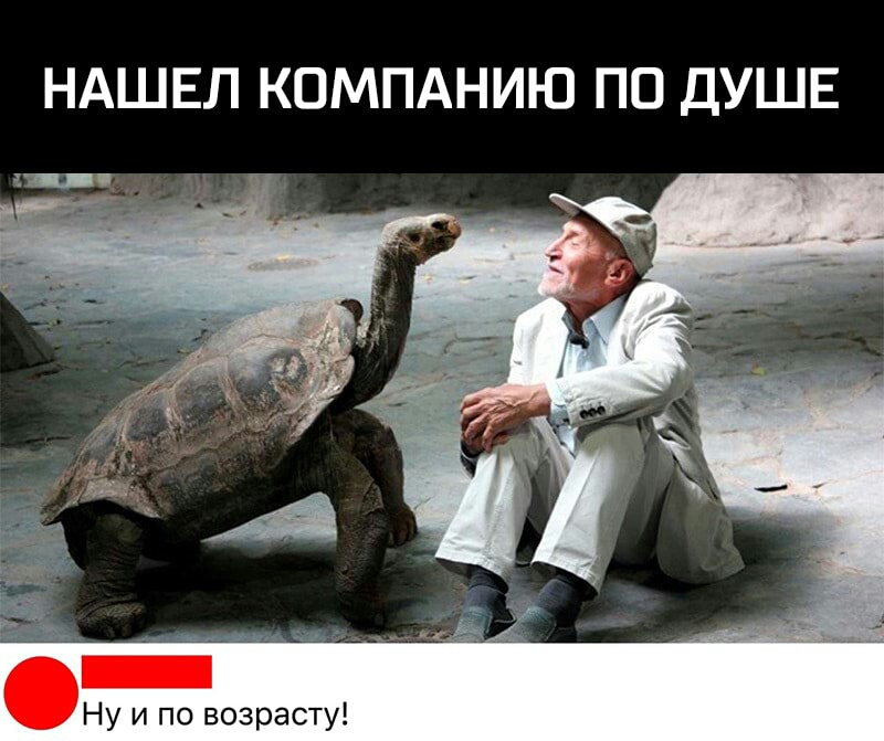 НАШЕЛ КОМПАНИЮ ПО ДУШЕ Ну и по возрасту
