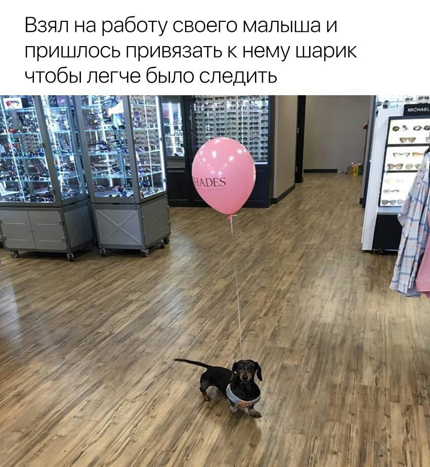 Взял на работу своего малыша и пришлось привязать к нему шарик чтобы легче было следит