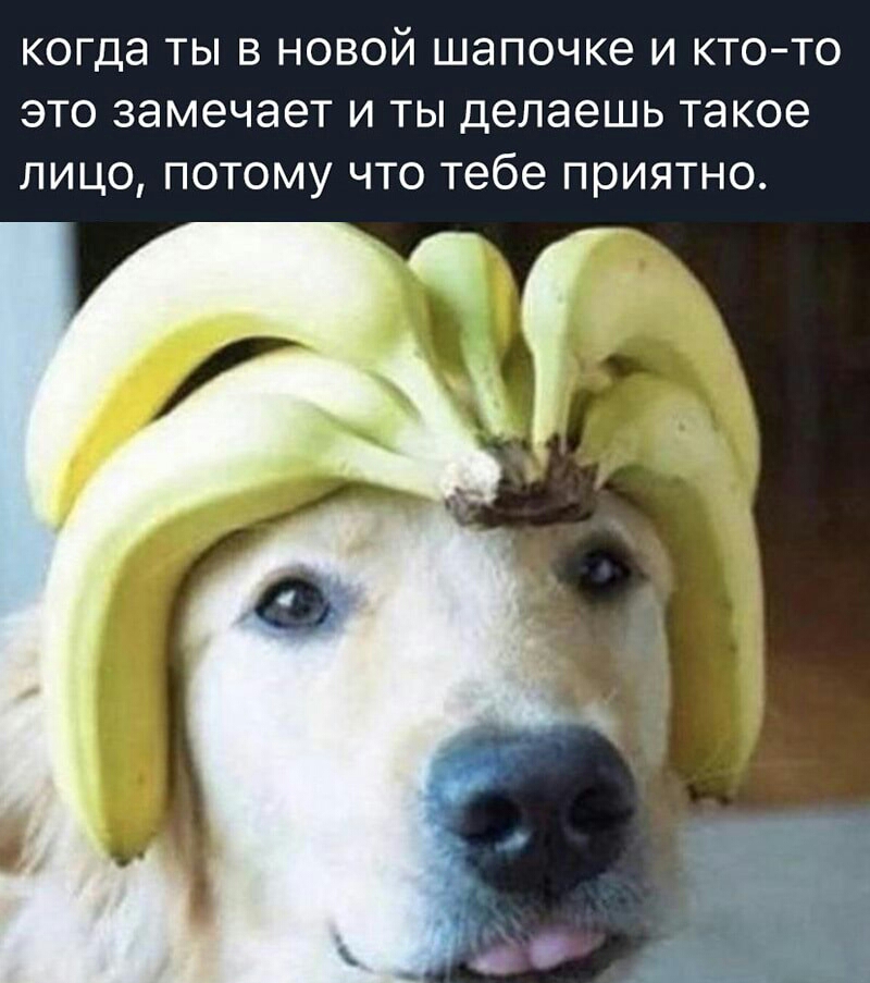 когда ТЫ В НОВОЙ шапочке И КТО ТО ЭТО замечает И ТЫ Делаешь Такое ЛИЦО ПОТОМУ ЧТО Тебе приятно