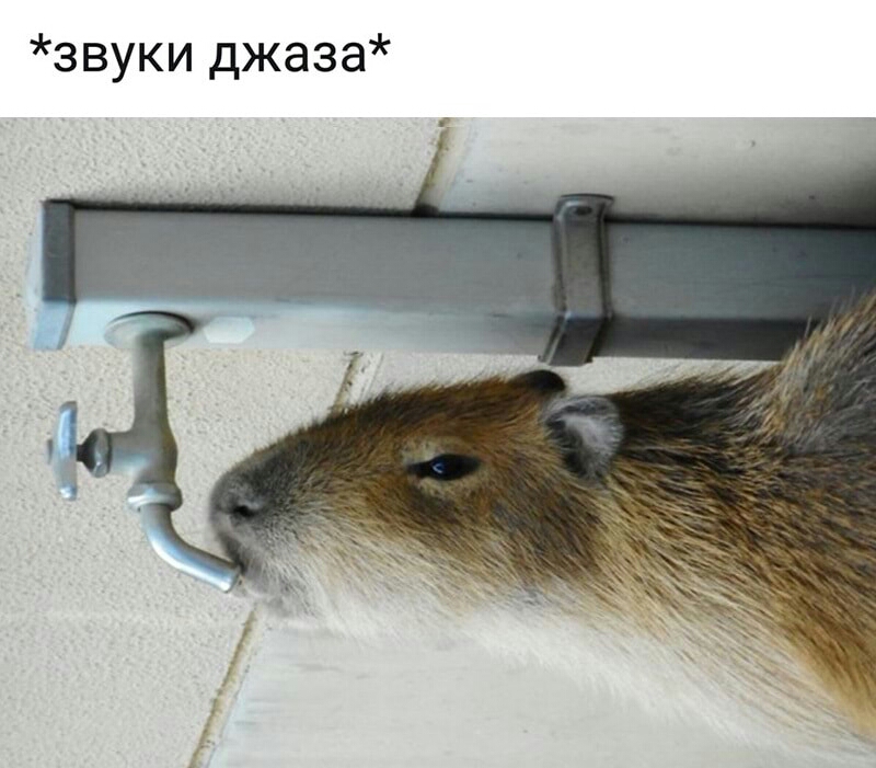 звуки джаза