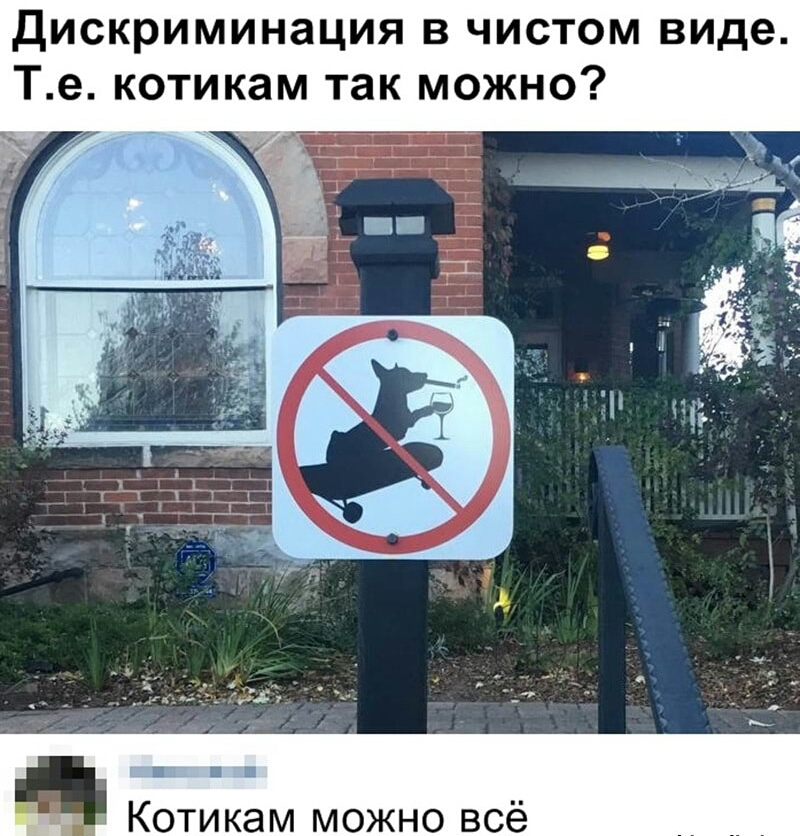 дискриминация в чистом виде Те котикам так можно отикам можно всё