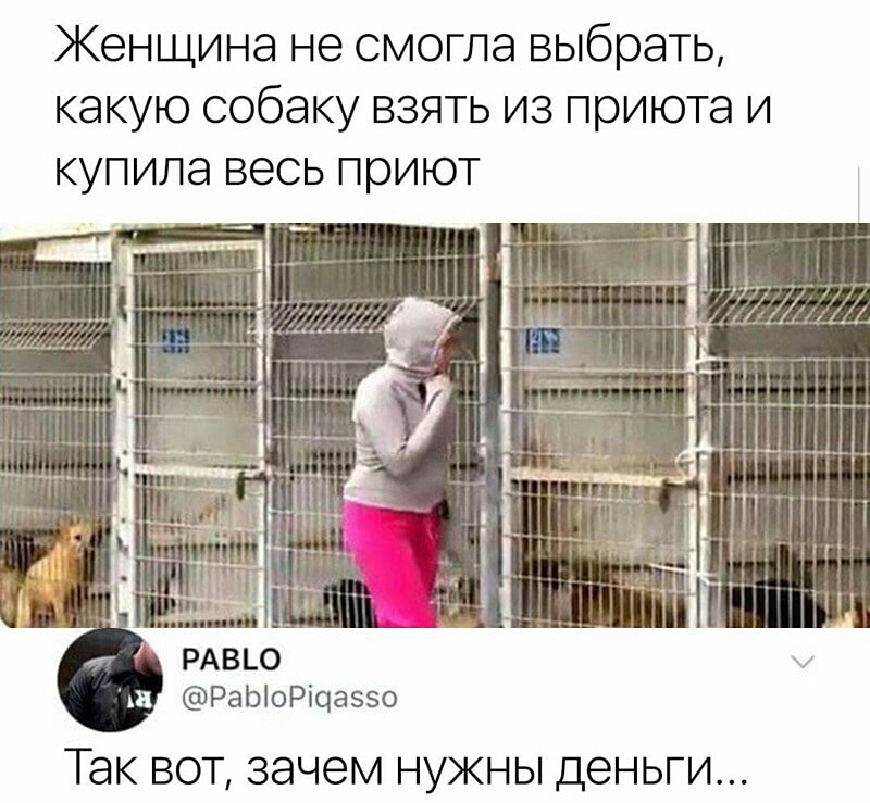 Женщина не смогла выбрать какую собаку взять из приюта и купила весь приют и РаЫоРічаззо ТЭК ВОТ зачем НУЖНЫ деньги
