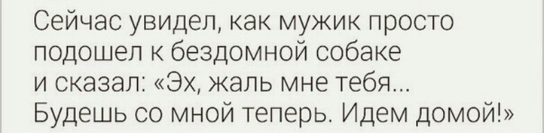 Сейчас увидел как мужик просто подошел к бездомной собаке и сказал Эх жаль мне тебя Будешь со мной теперь Идем домой