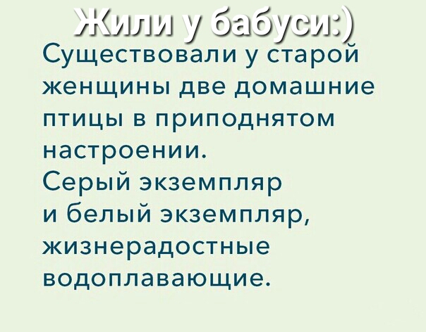 Жили у бабуин Существовали у старой женщины две домашние птицы в приподнятом настроении Серый экземпляр и белый экземпляр жизнерадостные водоплавающие