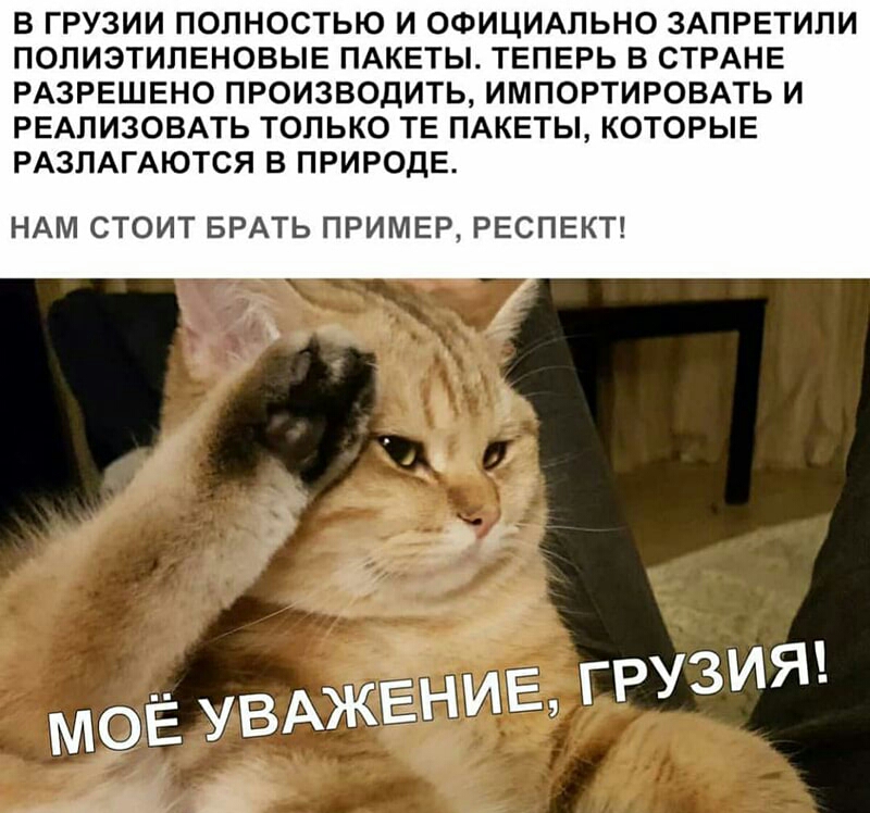 В ГРУЗИИ ПОЛНОСТЬЮ И ОФИЦИАЛЬНО ЗАПРЕТИЛИ ПОЛИЭТИПЕНОВЫЕ ПАКЕТЫ ТЕПЕРЬ В СТРАНЕ РАЗРЕШЕНО ПРОИЗВОДИТЬ ИМПОРТИРОВАТЬ И РЕАЛИЗОВАТЬ ТОЛЬКО ТЕ ПАКЕТЫ КОТОРЫЕ РАЗЛАГАЮТСЯ В ПРИРОДЕ НАМ СТОИТ БРАТЬ ПРИМЕР РЕСПЕКТ