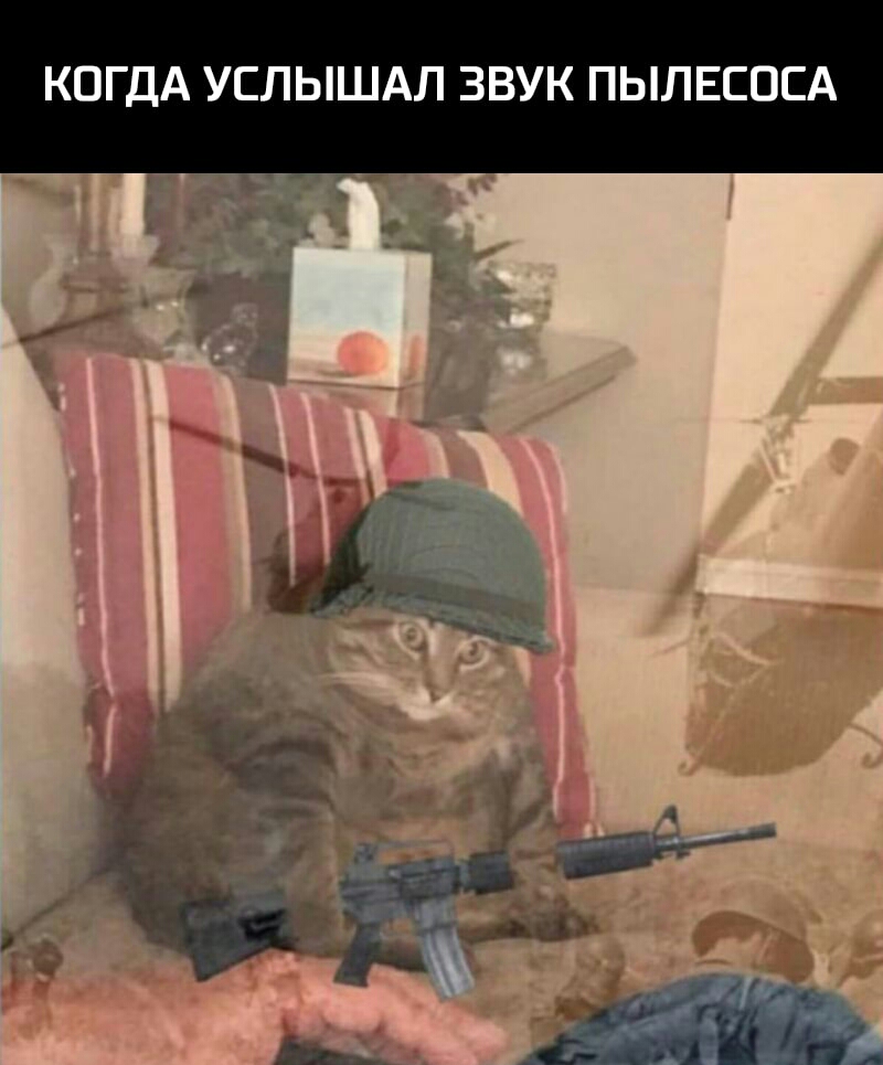 КОГДА УСЛЫШАЛ ЗВУК ПЫЛЕСОСА