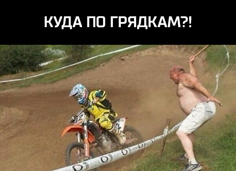 КУДА ПО ГРЯДКАМ