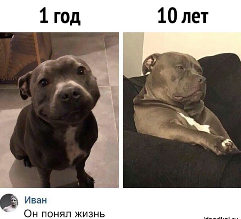 Он понял жизнь