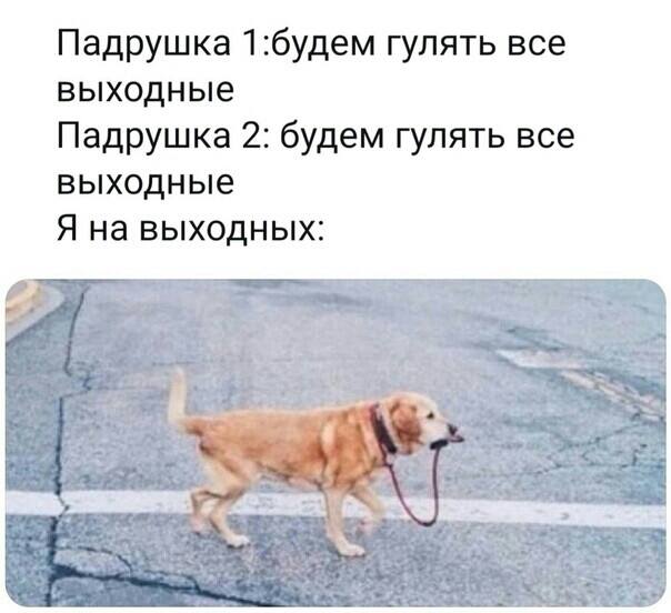 Падрушка 1будем гулять все выходные Падрушка 2 будем гулять все выходные Я на выходных