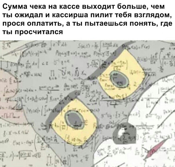 Сумма чека на кассе ВЫХОДИТ больше чем ТЫ ожидал И кассирша ПИПИТ тебя ВЗГЛЯДОМ ПРОСЯ ОППаТИТЬ а ТЫ пытаешься ПОНЯТЬ где ТЫ просчитался