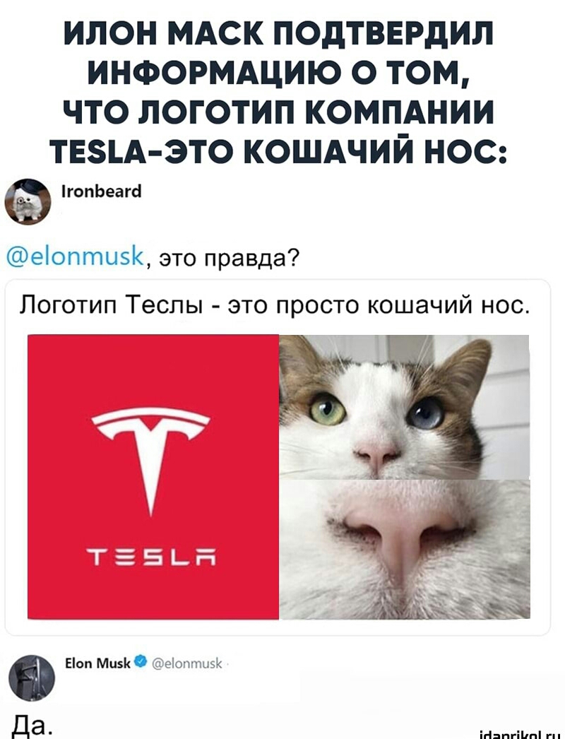 илон МАск подтвврдип ИНФОРМАЦИЮ о том что логотип компднии твзьд это кошдчий ное гопЬеага еіоптцзК это правда Логотип Теслы это просто кошачий нос Еоп Мази іаіопппий Да ігіяпгіінпі гп