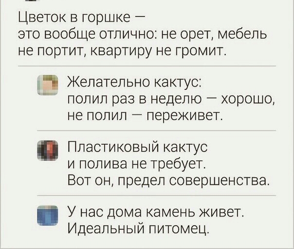 Цветок в горшке это вообще отлично не орет мебель не портит квартиру не громит Желательно кактус полил раз в неделю хорошо не полил переживет Пластиковый кактус и полива не требует Вот он предел совершенства _ У нас дома камень живет Идеальный питомец