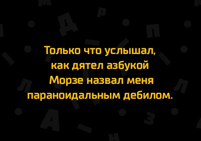 Твлькп что услышал как дятел азбукой Морзе назвал меня параноидальным дебилом