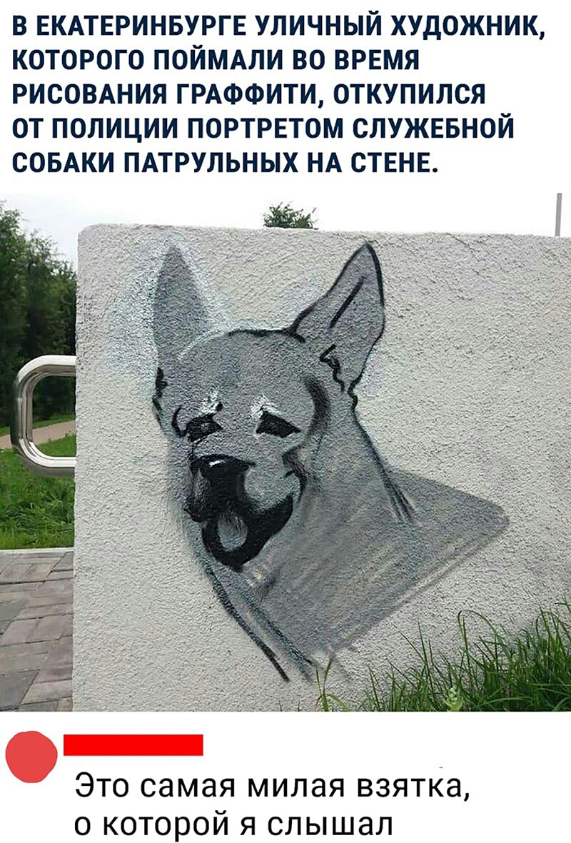 В ЕКАТЕРИНБУРГЕ УЛИЧНЫЙ ХУДОЖНИК КОТОРОГО ПОЙМАЛИ ВО ВРЕМЯ РИСОВАНИЯ ГРАФФИТИ ОТКУПИЛСЯ ОТ ПОЛИЦИИ ПОРТРЕТОМ СЛУЖЕБНОЙ СОБАКИ ПАТРУЛЬНЫХ НА СТЕНЕ и Это самая милая взятка о которой я слышал