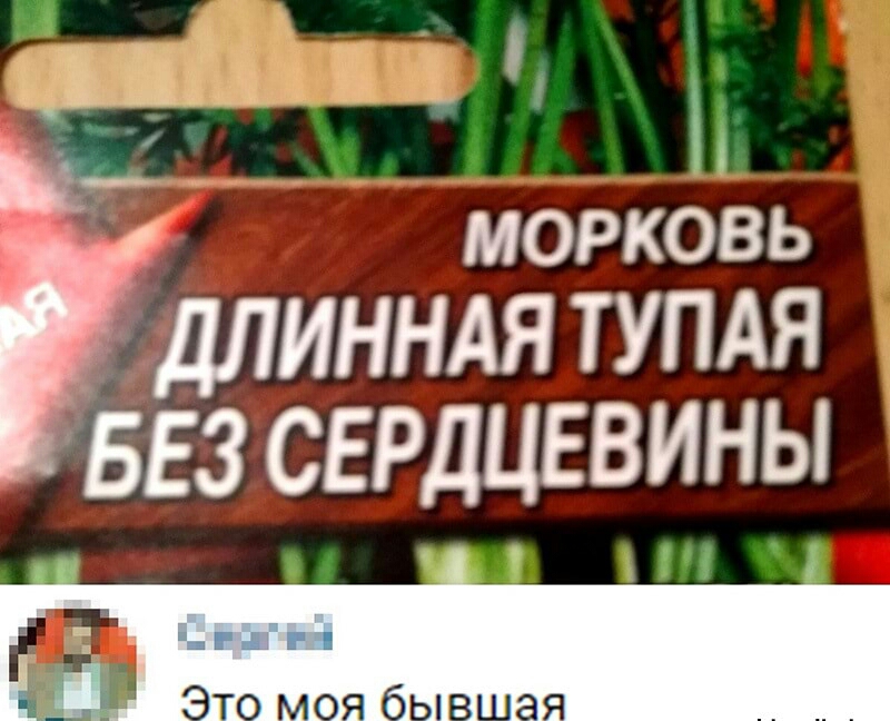 __ МОРКОВЬ длинндя тундя БЕЗ сердцевины