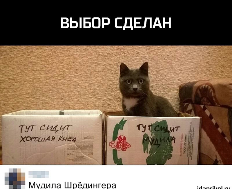 ВЫБОР СДЕЛАН