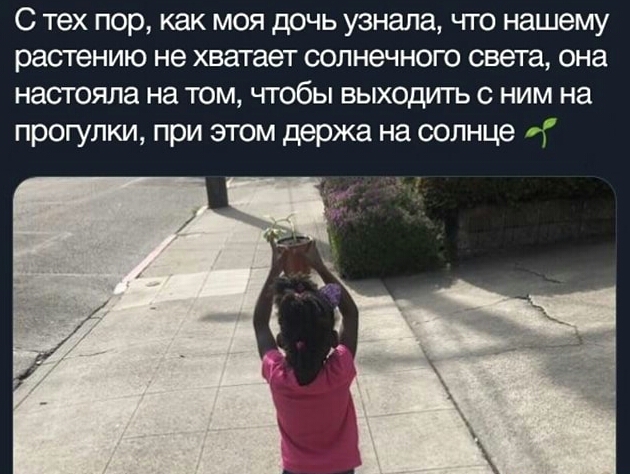С тех пор как моя дочь узнала что нашему растению не хватает солнечного света она настояла на том чтобы выходить с ним на прогулки при этом держа на солнце