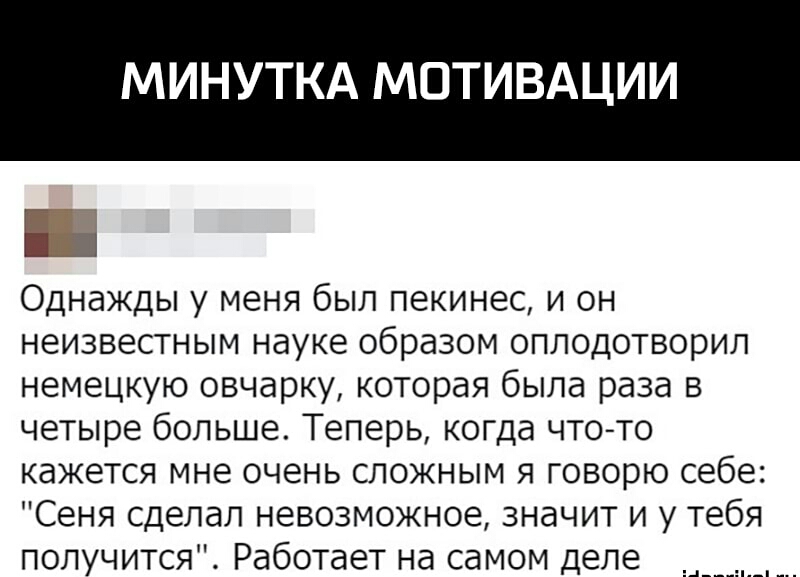 МИН КА МОТИВАЦИИ Однажды у меня был пекинес и он неизвестным науке образом оплодотворил немецкую овчарку которая была раза в четыре больше Теперь когда что то кажется мне очень сложным я говорю себе Сеня сделал невозможное значит и у тебя получится Работает на самом деле