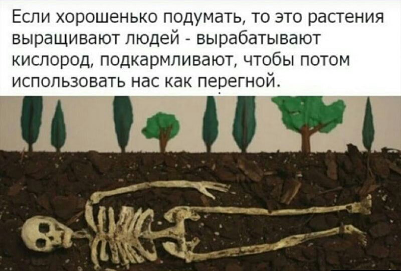 ЕСЛИ ХОРОШЭНЬКО ПОДУМдТЬ ТО ЭТО растения ВЫРдЩИВдЮТ ЛЮДЕЙ ВЫРдбдТЫВдЮТ КИСЛОГЗОД подкармливают ЧТОбЫ ПОТОМ ИСПОЛЬЗОВЭТЬ нас Как ПЕОЭГНОЙ