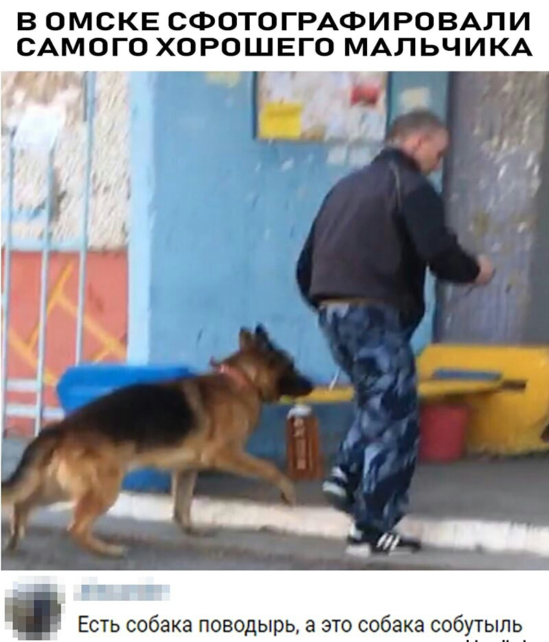 В ОМСКЕ СФОТО ГРАФИРОВАЛИ САМОГО ХОРОШЕГО МАЛЬЧИКА Есть собака поводырь а это собака собутыль