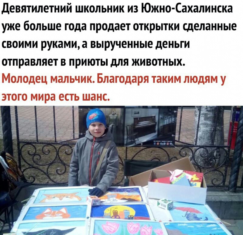 Девятилетний школьник из Южно Сахалинска уже больше года продает открытки сделанные своими руками а вырученные деньги отправляет в приюты для животных